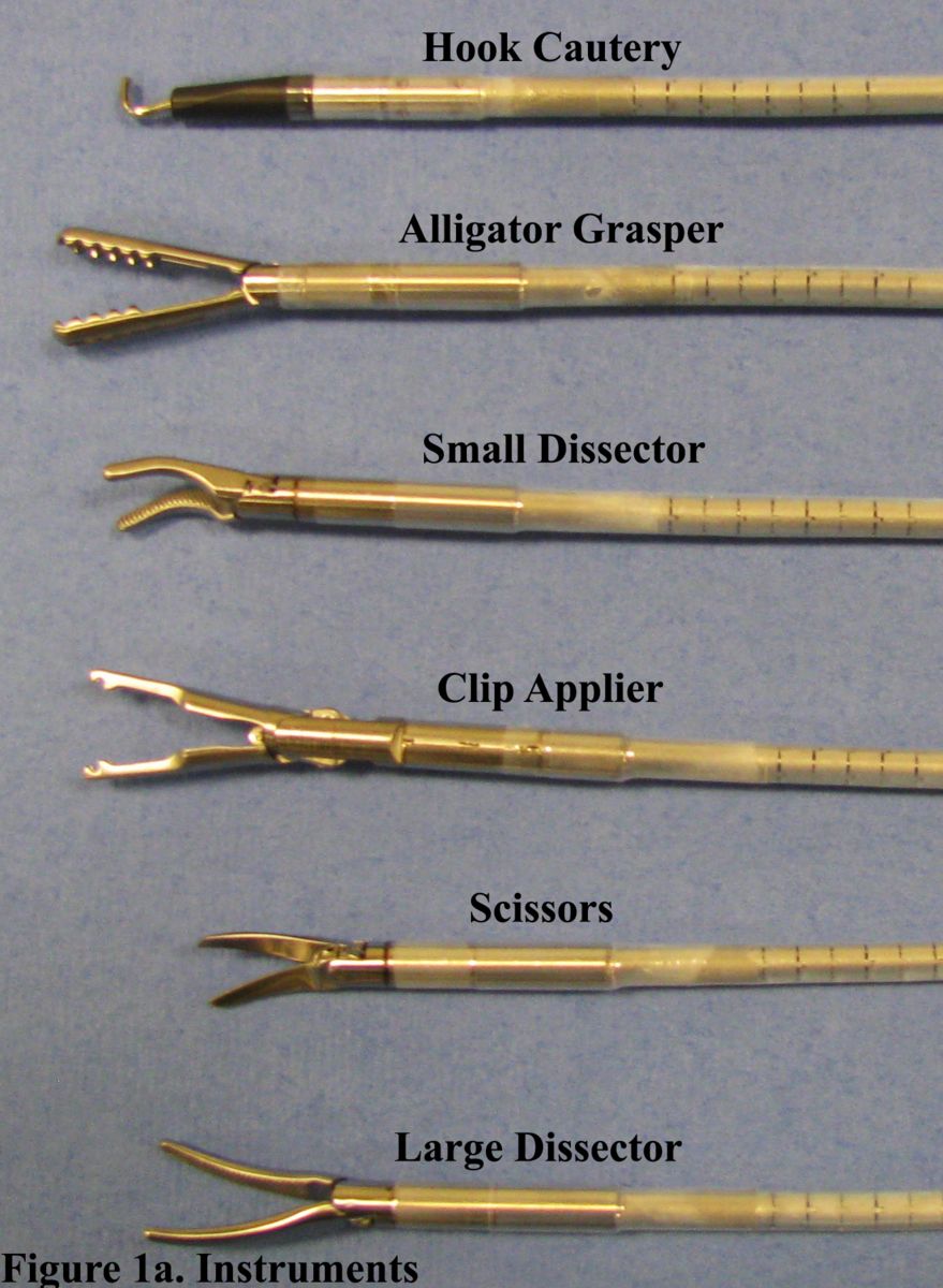 laparoscopic surgery instruments, Laparoscopic Set 5mm/10mm Best ...