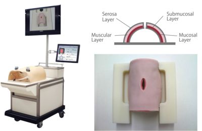Fig. 1 Appearance of the new computerized system for objective assessment of the suture ligature method used in the laparoscopic intestinal suturing model (Lap-SAS IS). The artificial intestine model consists of four layers: mucosal, submucosal, muscular, and serosal